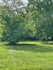 Listing Photo 41996